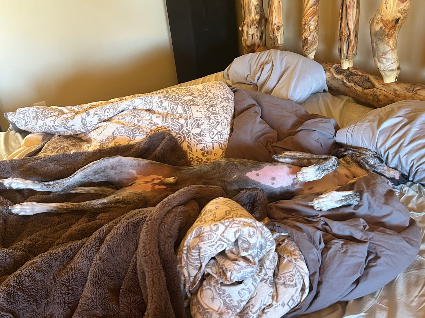 Customer photo review of Lush True Caramel Blanket