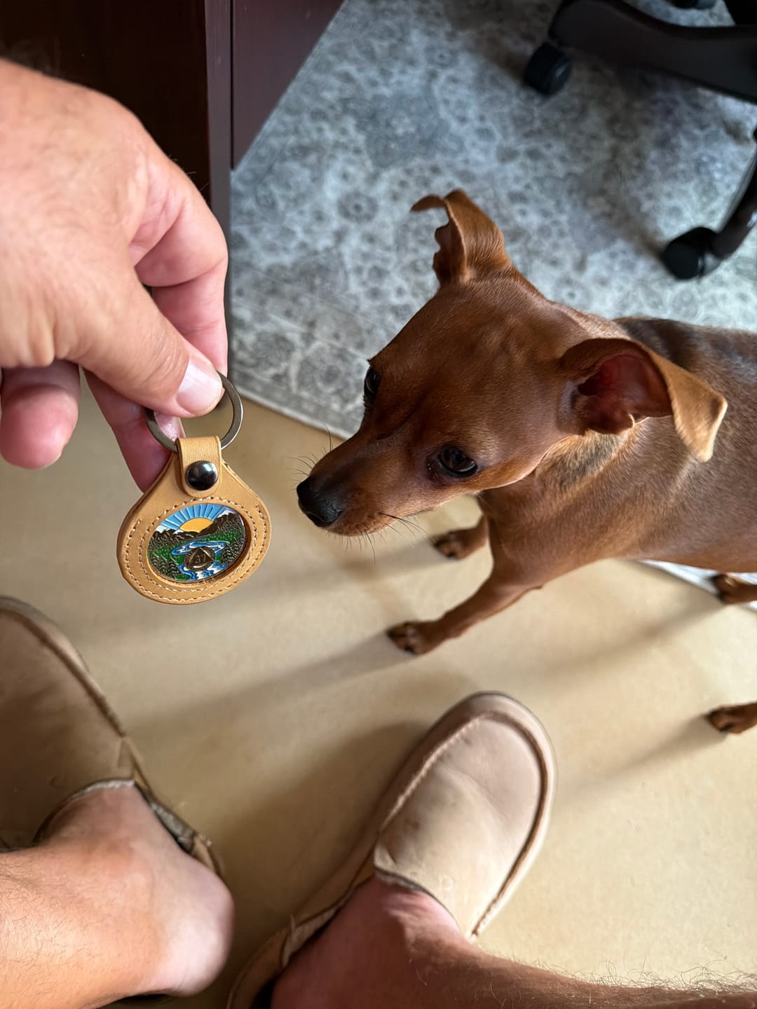 Customer photo review of Sobriety Mint Genuine Leather 34mm AA Medallion Keychain Holder - Recovery Chip/Coin/Token Holder - Tan