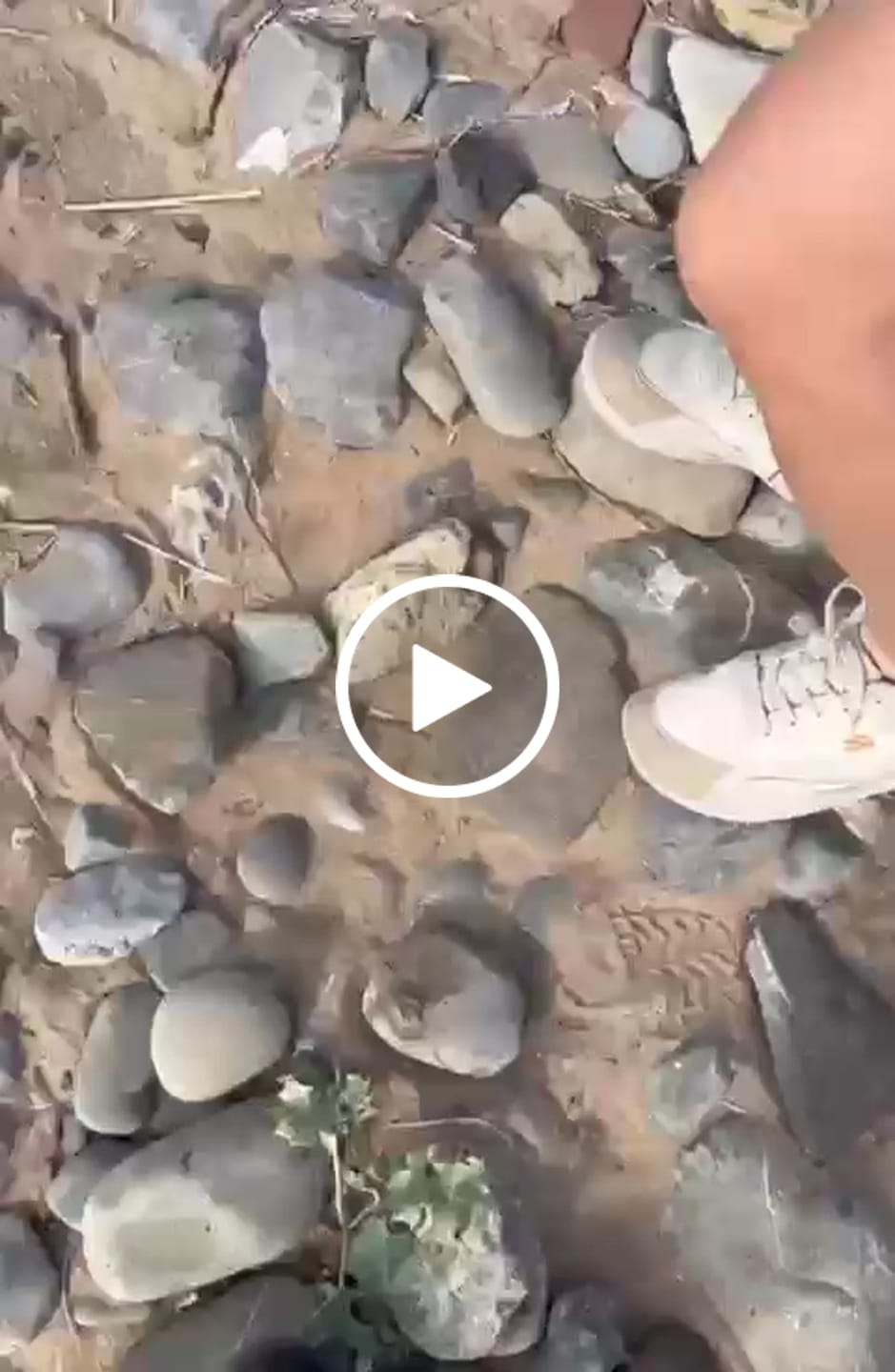 Customer video review of Vale - Zapatos De Punta Ancha