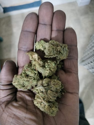Gelato Kush - Bulk - Indica photo review