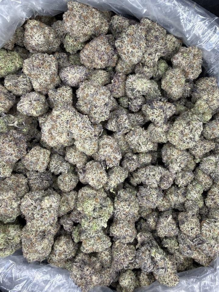 Customer photo review of (BOGO)1oz Apple Fritter Infused Shake - Garden I