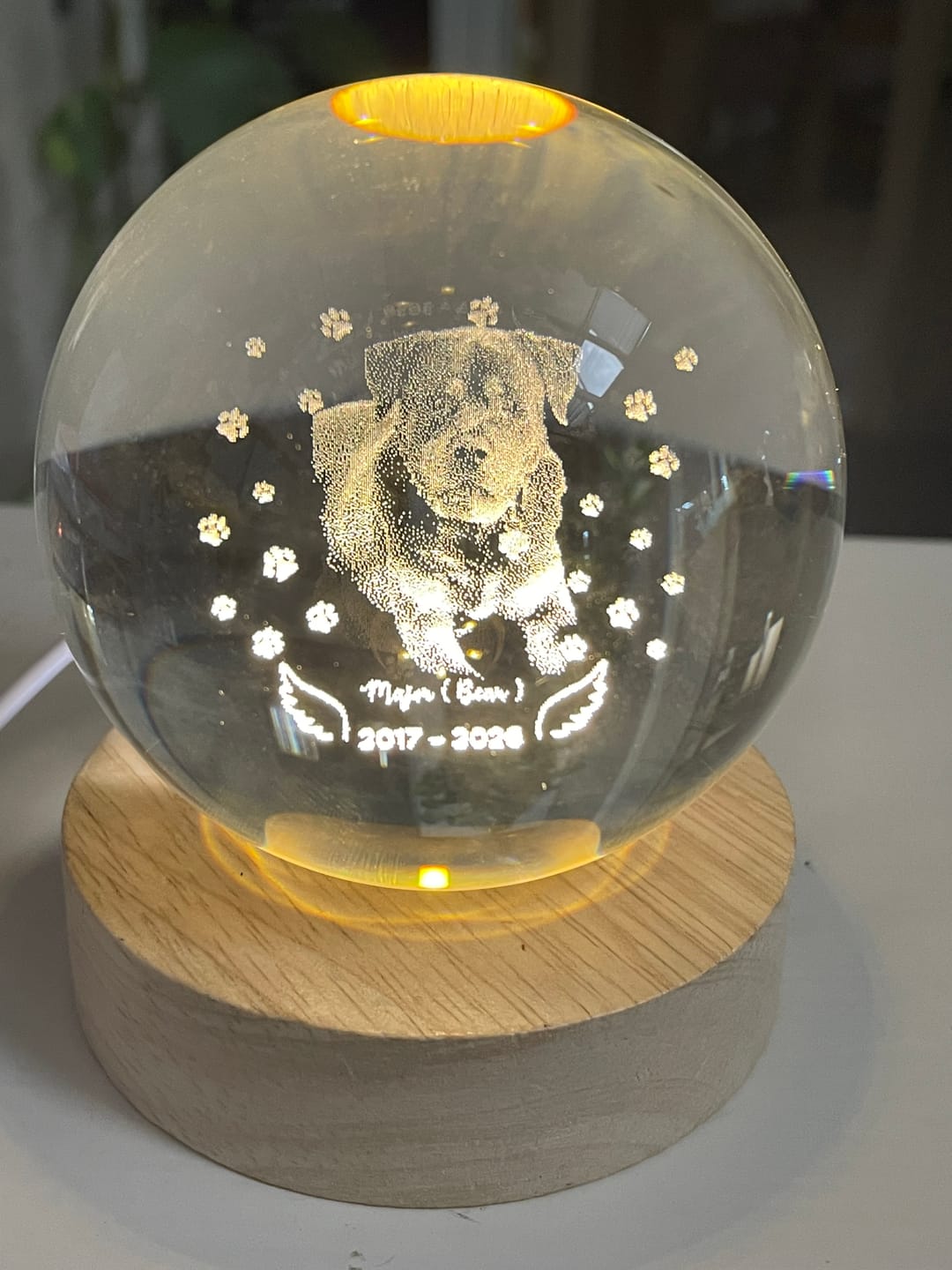 Customer photo review of Dog Angel Wings Memorial - Personalized Crystal Ball LED Night Light - Sympathy Gift For Dog Lovers