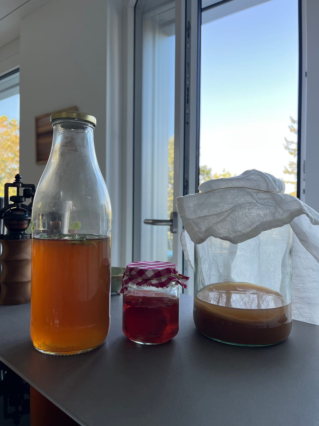 Customer photo review of Kombucha Starter-Set komplett Bio