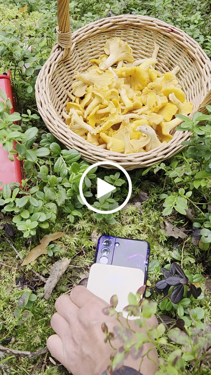 Customer video review of TenPower 10 000 mAh+näyttö