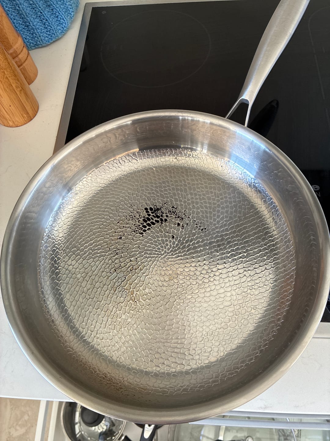 Customer photo review of Hand-Hammered Titanium Pan