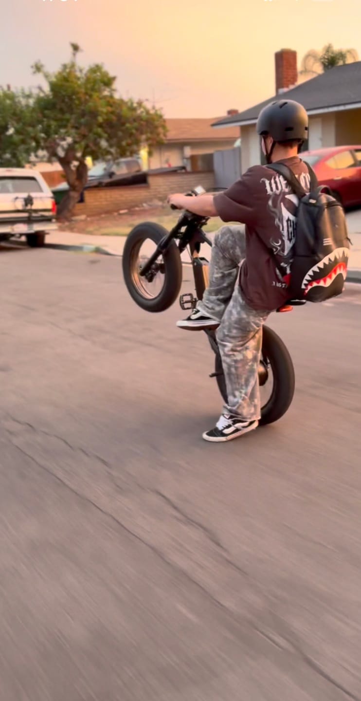 Customer photo review of Macfox X1S Commuter E-bike