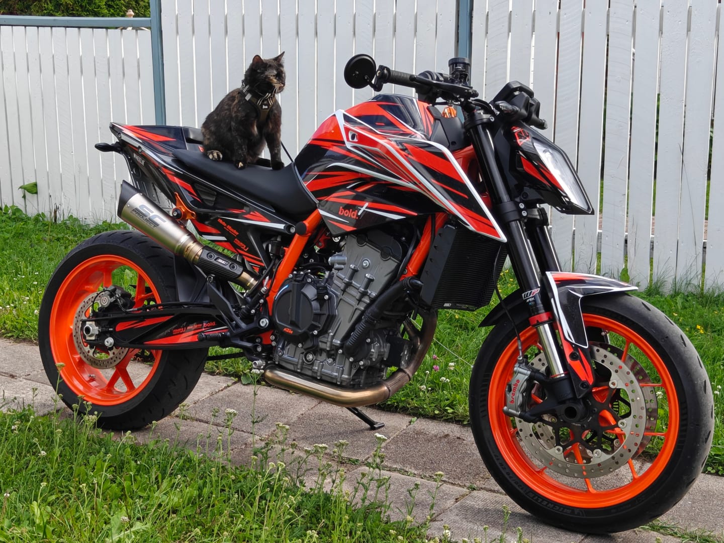 Customer photo review of NTK V2 - Graphics kit