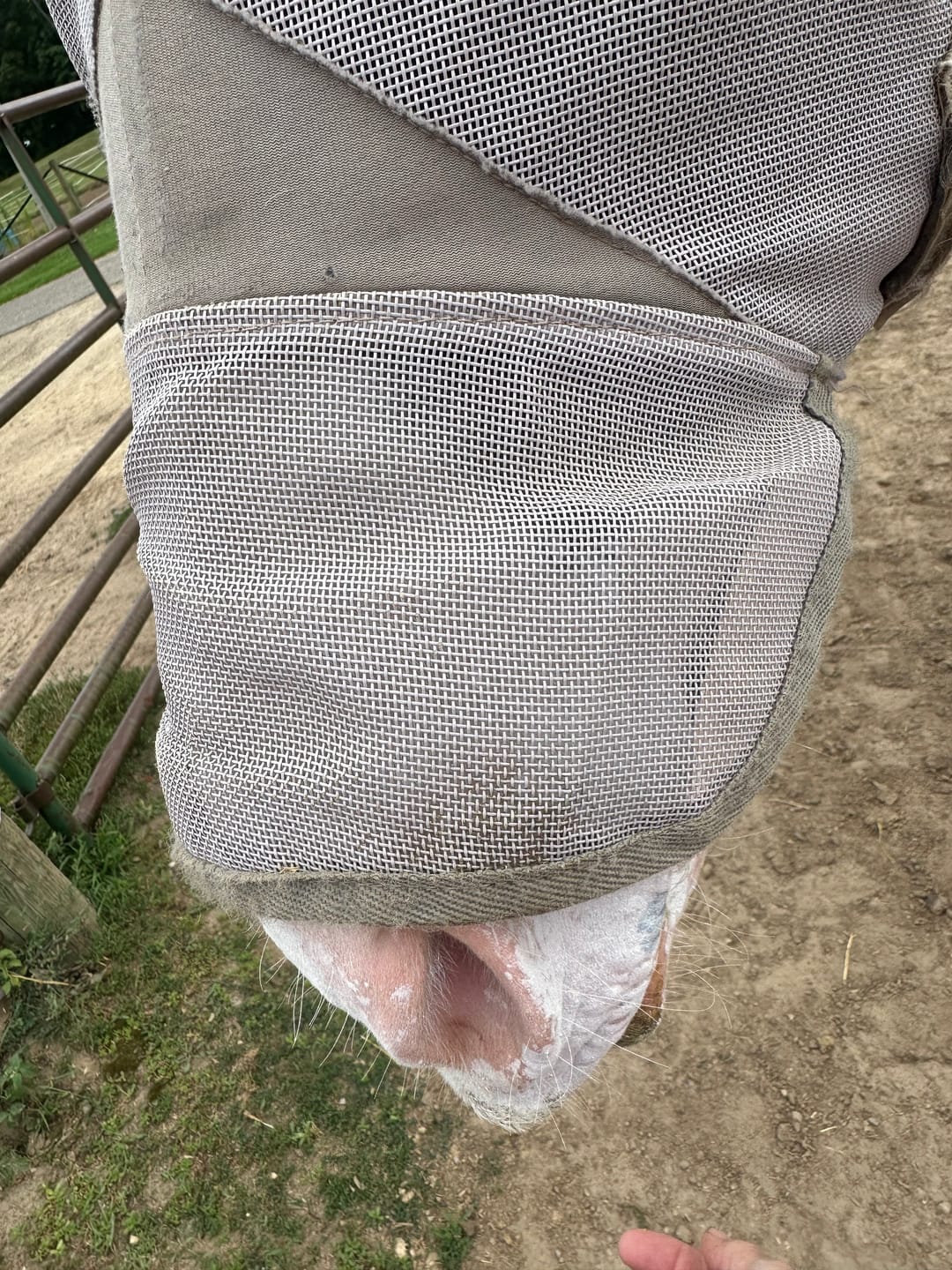 Customer photo review of Field Coat
