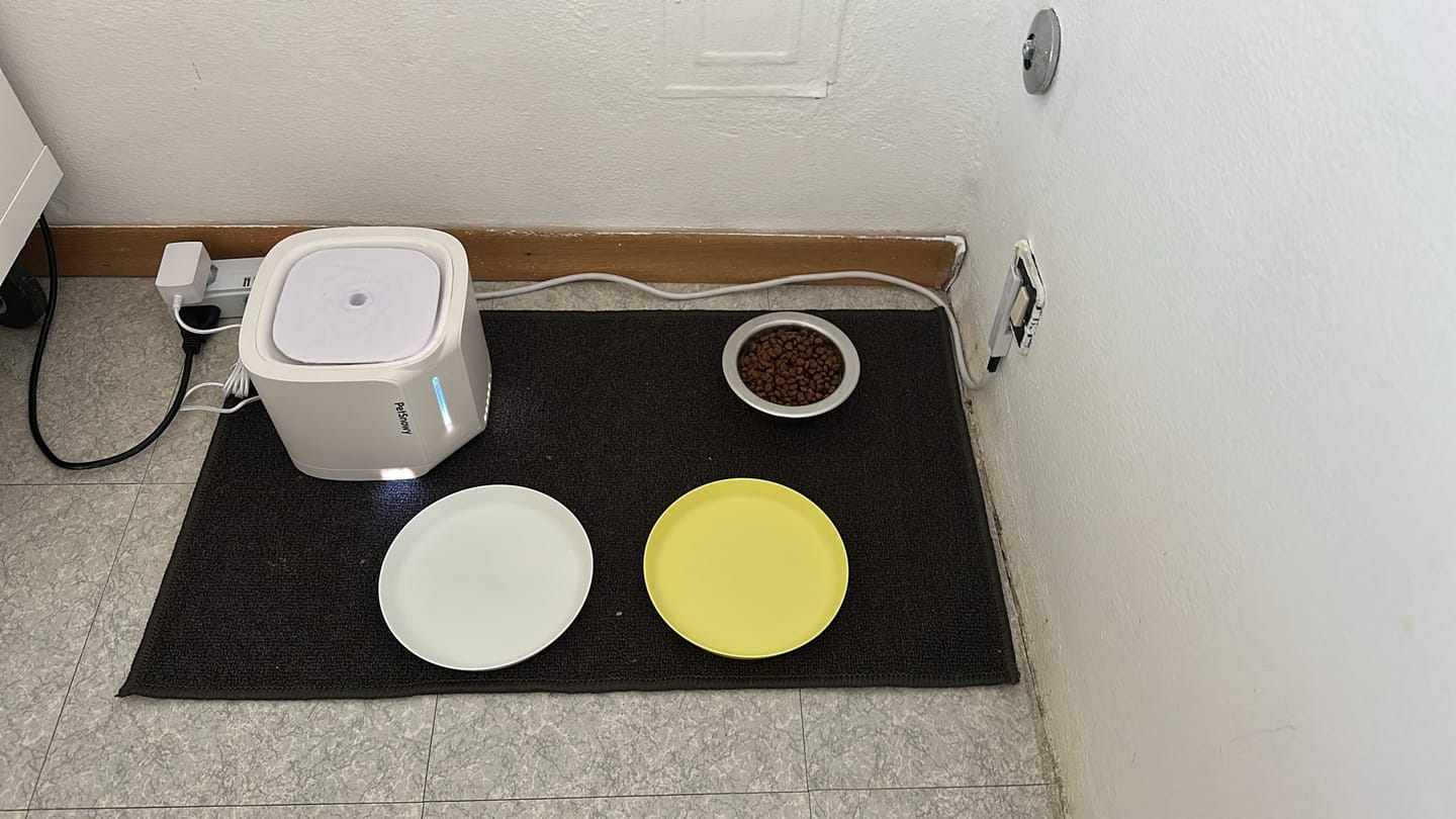 Customer photo review of Pet Water Fountain