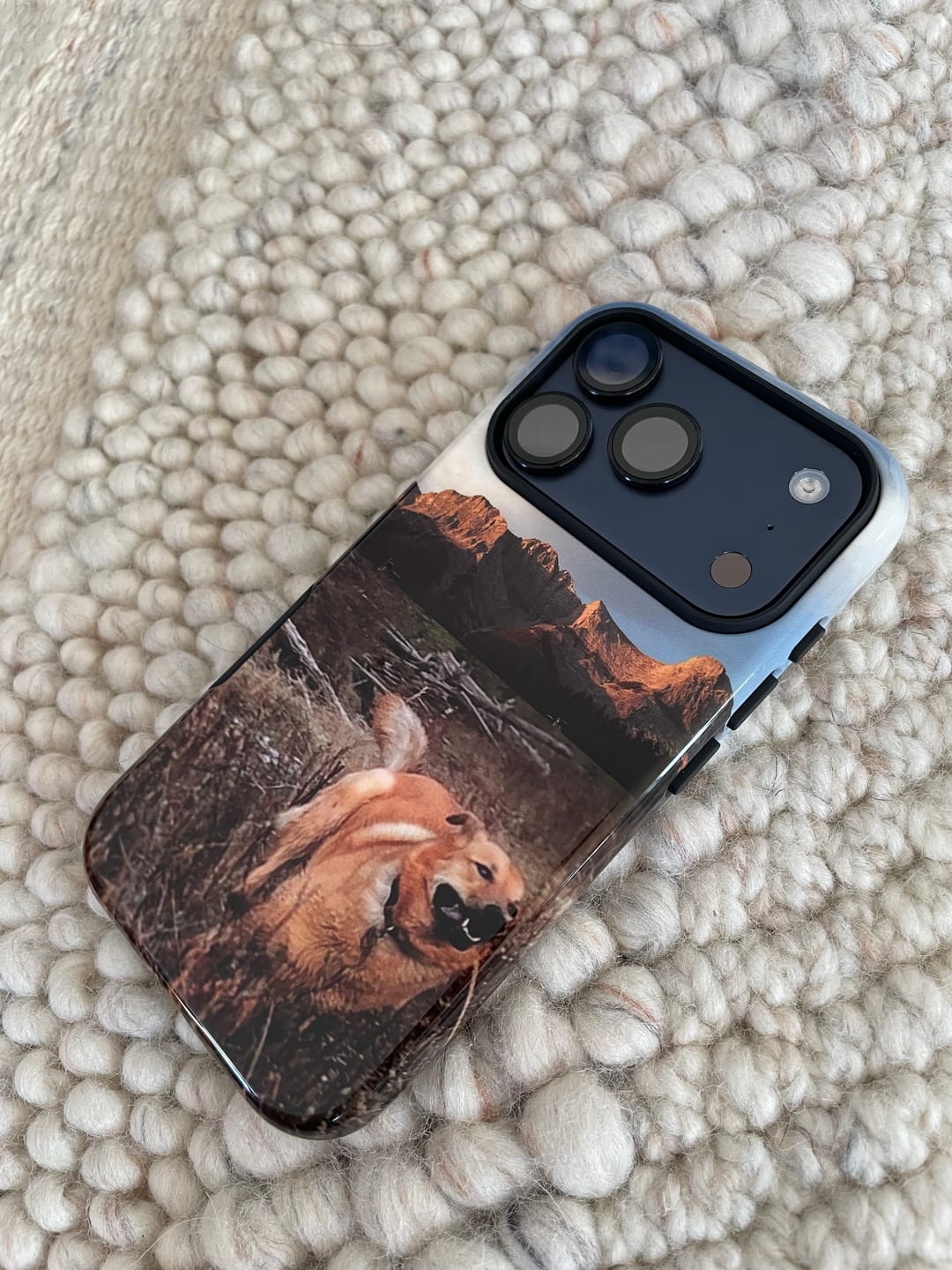 Customer photo review of Custom - iPhone 17 Pro