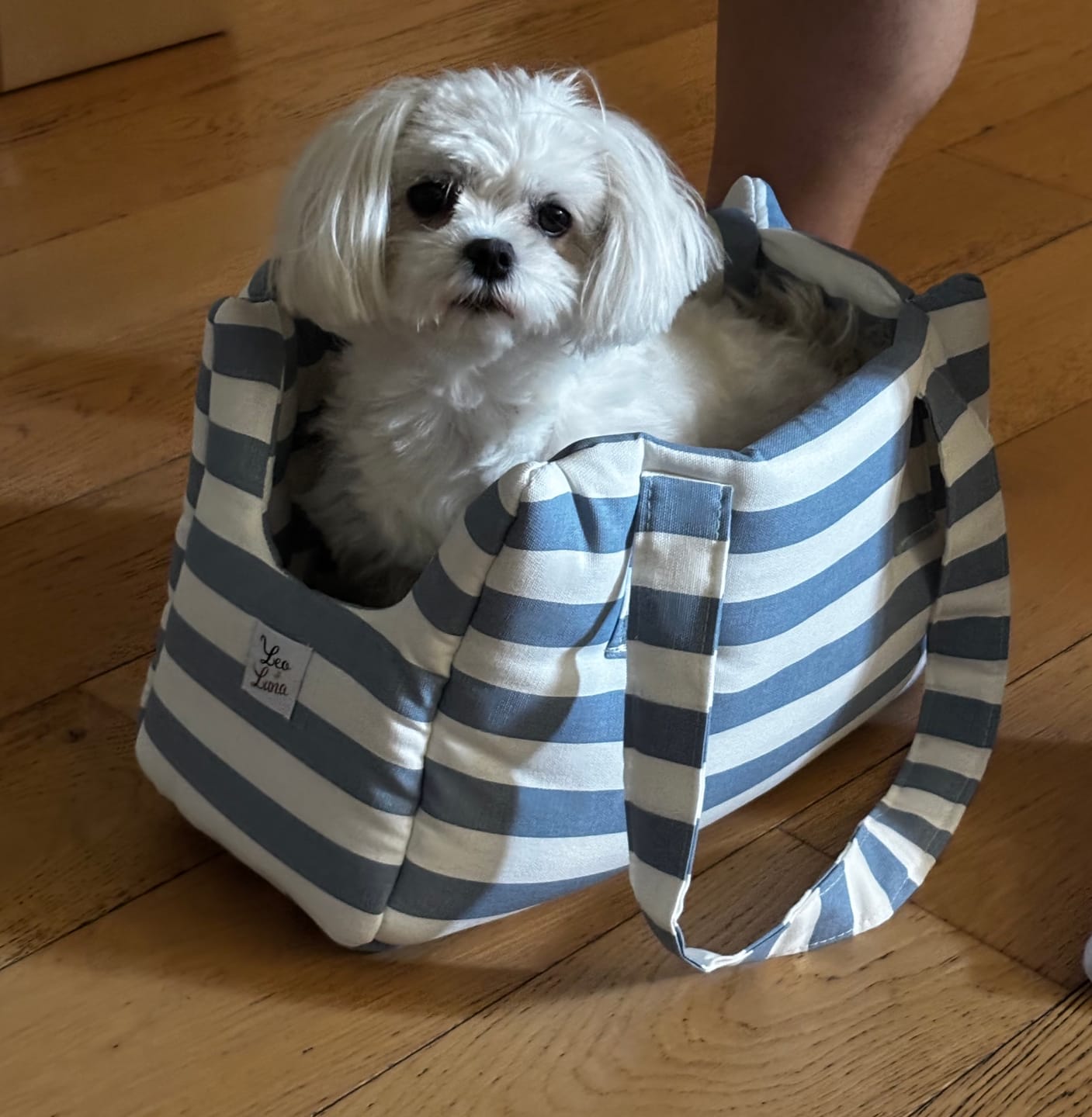 Customer photo review of Borsa Trasportino Cane Righe Azzurro | Made in Italy — Leo e Luna