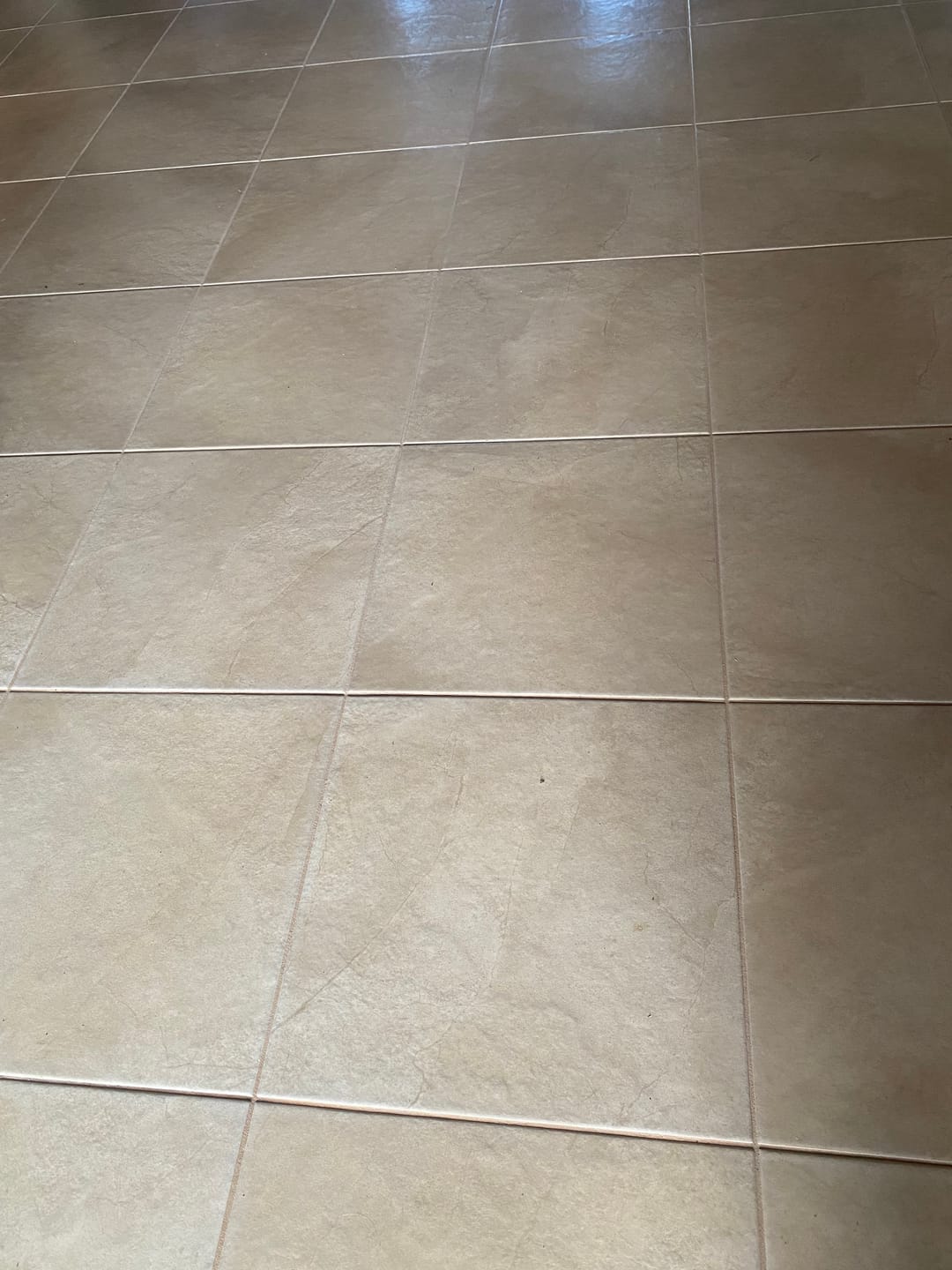 Customer photo review of SHYN Degreaser