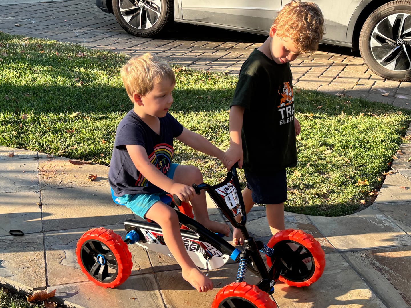 Customer photo review of BERG Buzzy