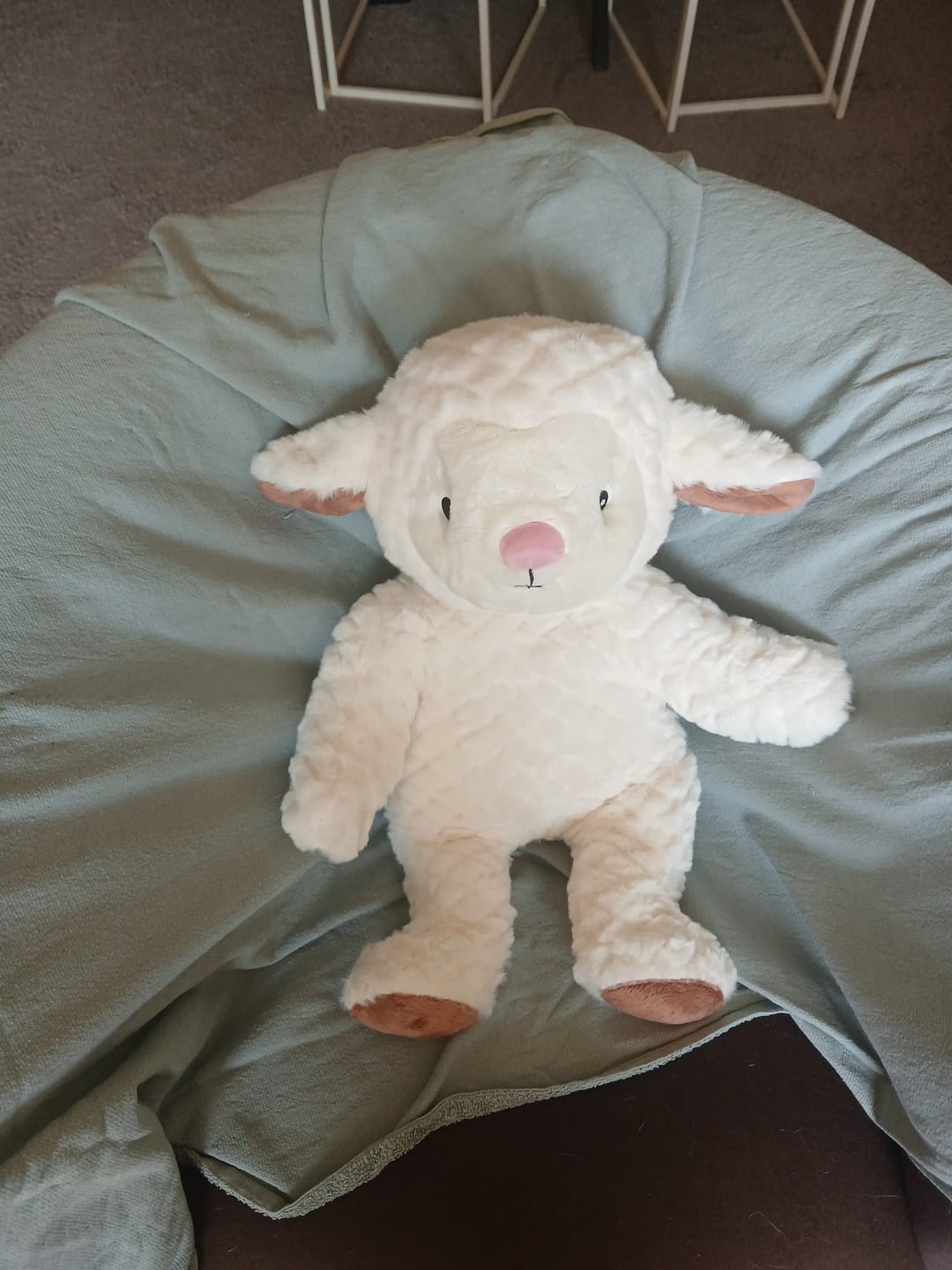 Customer photo review of Lotgenootje Schaap 2kg