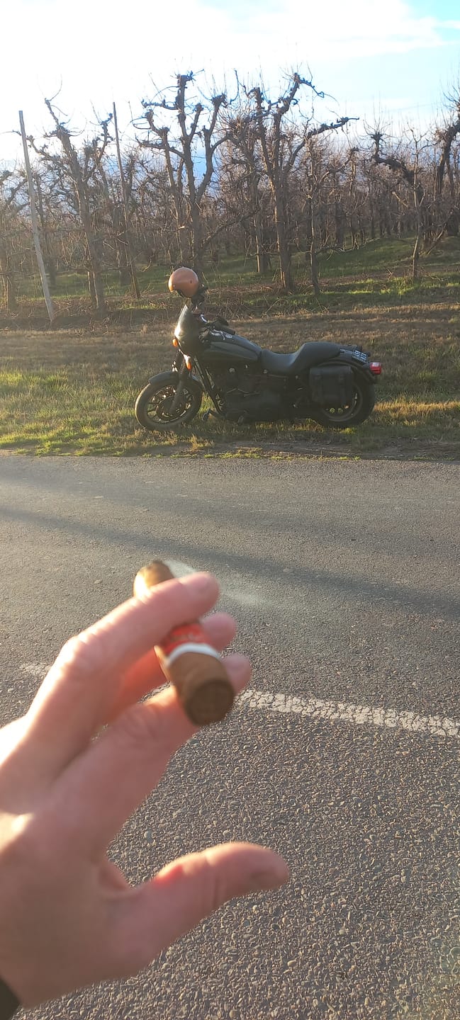Customer photo review of Mini Short Robusto
