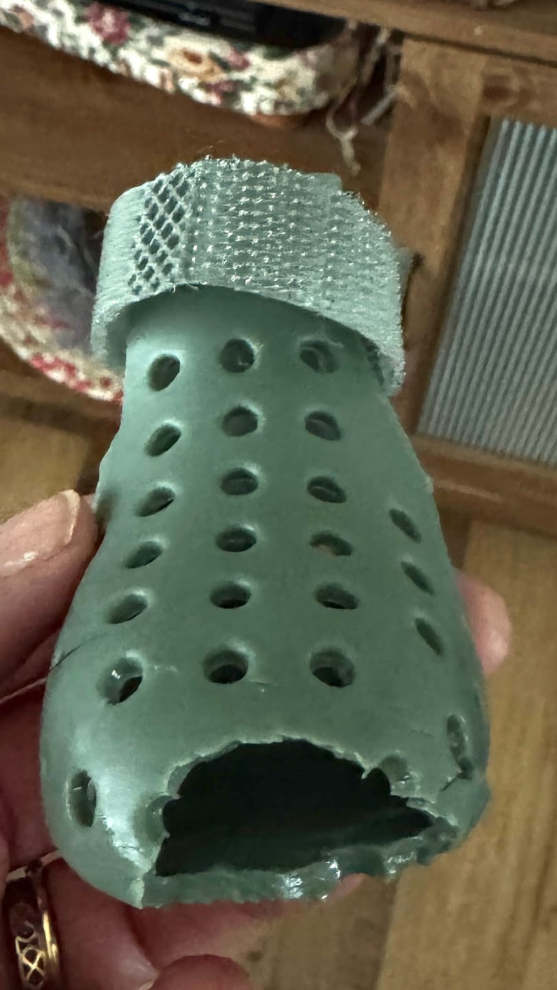 Customer photo review of WagWellie® Mojave Single