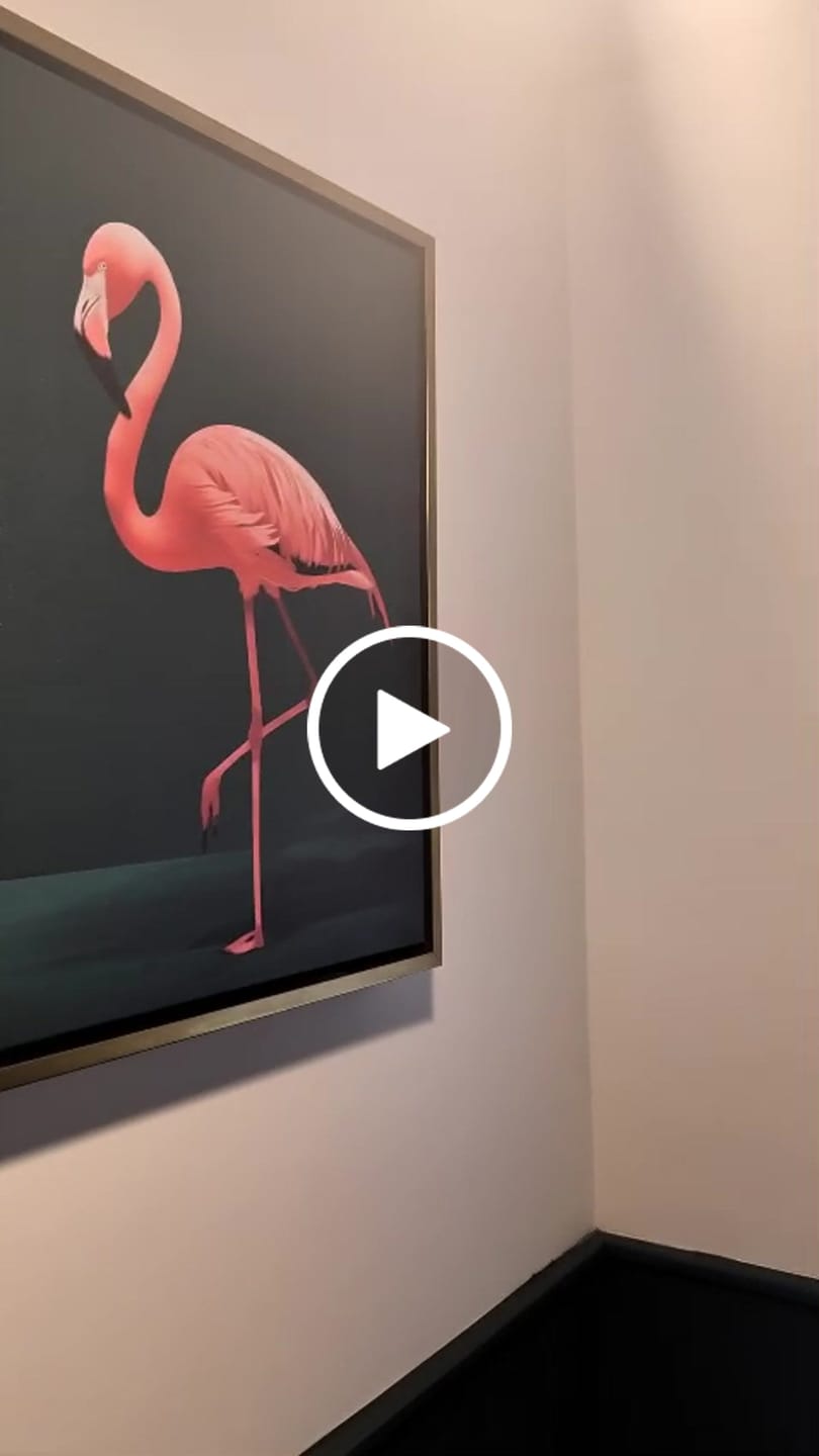 Customer video review of Pink Flamingo Print