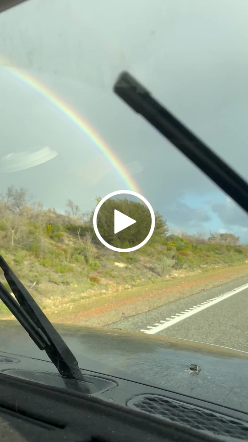 Customer video review of Toyota FJ Cruiser Wiper Blades