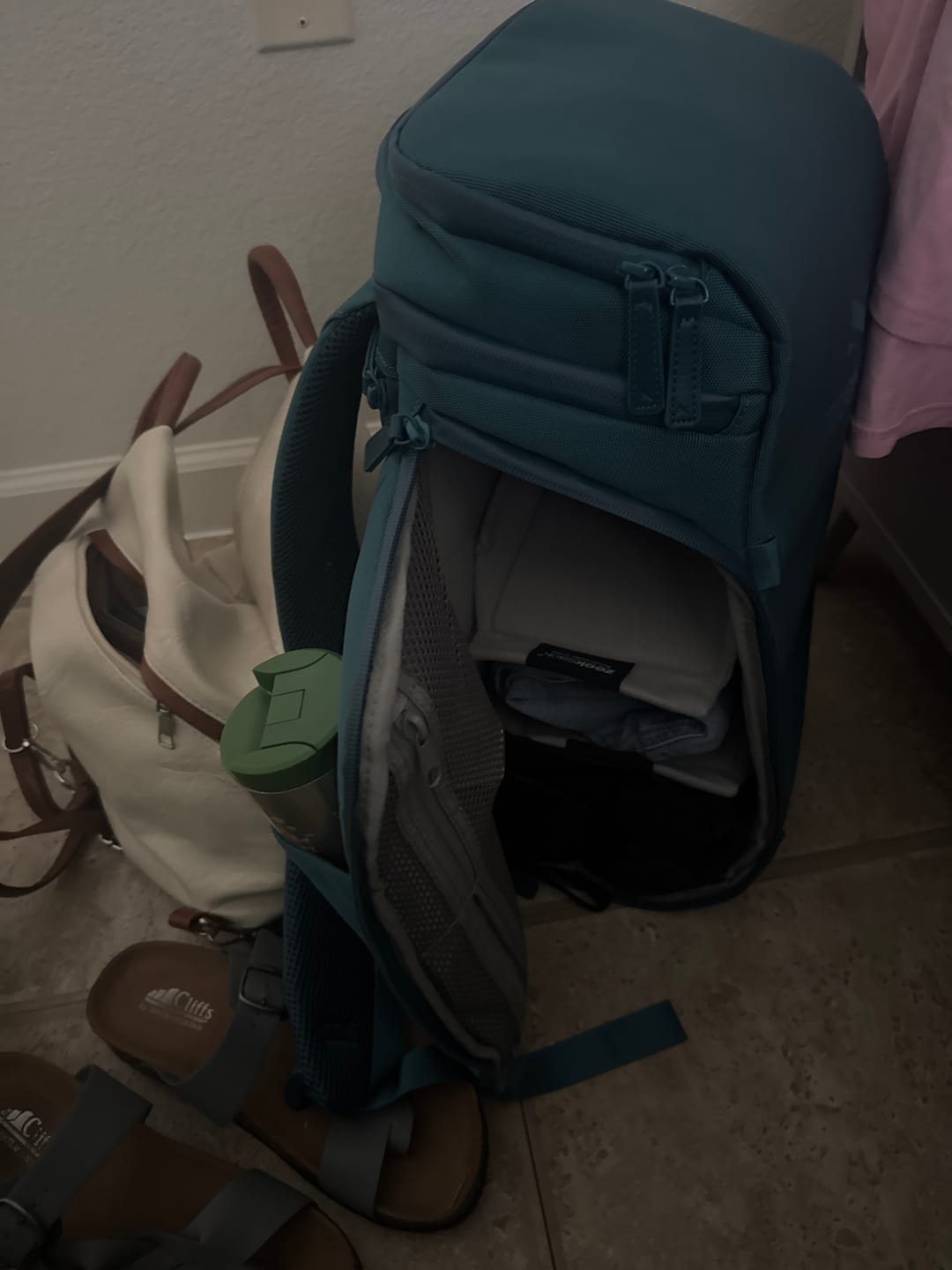 Customer photo review of The Organizer 20L