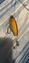 Customer photo review of Topwater Revenge Plopper Lure Single Blade