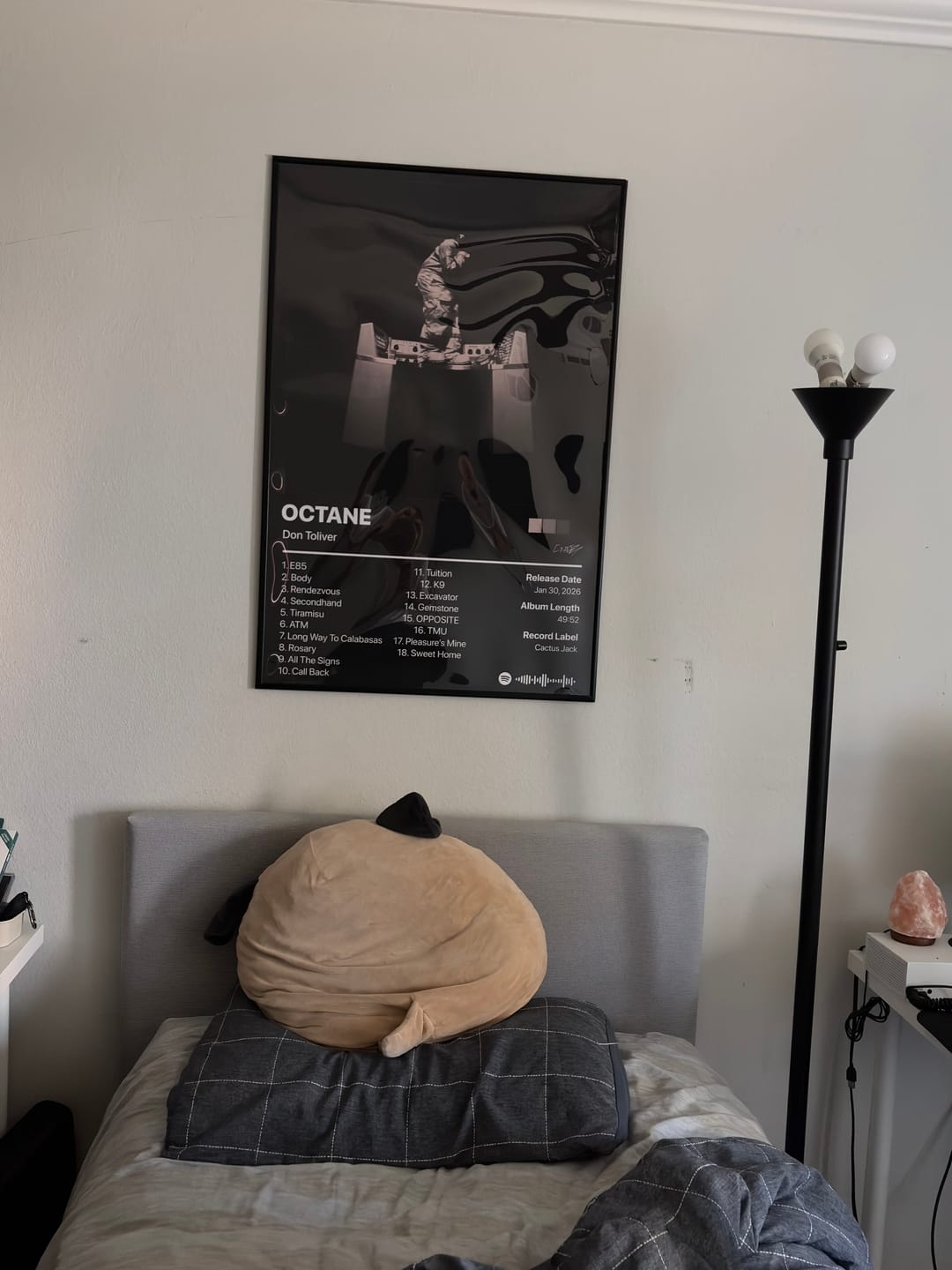 Customer photo review of Don Toliver OCTANE Album Poster