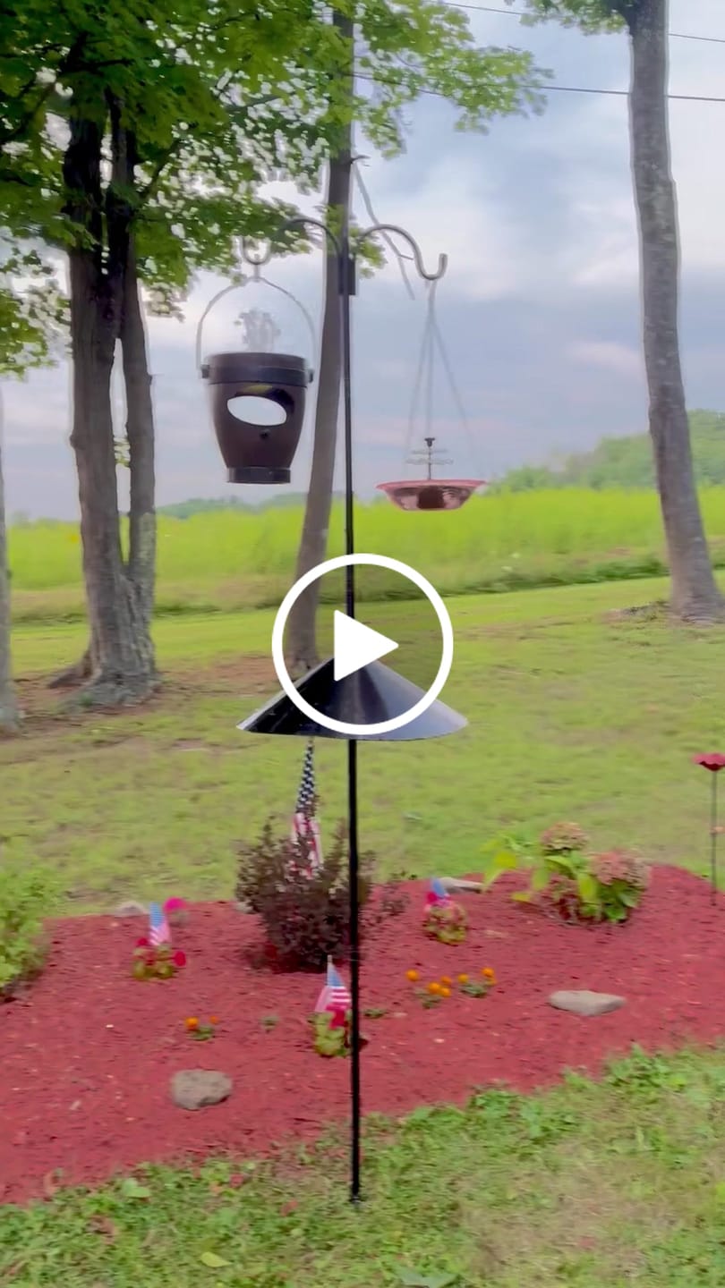 Customer video review of Rustic Hanging Bird Feeder with Fountain