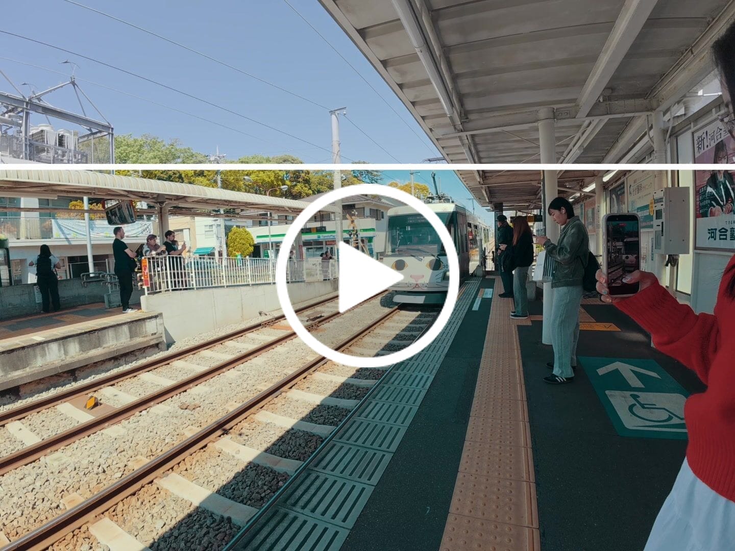 Customer video review of Osmo Cinematic LUTs
