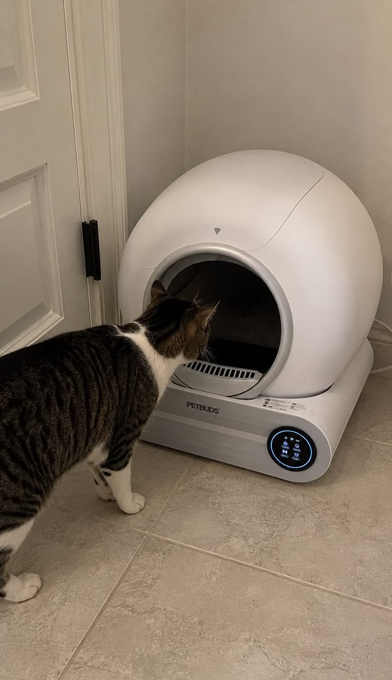 Customer photo review of Petbuds™ Pro 2026 Automatic Self-Cleaning Litter Box