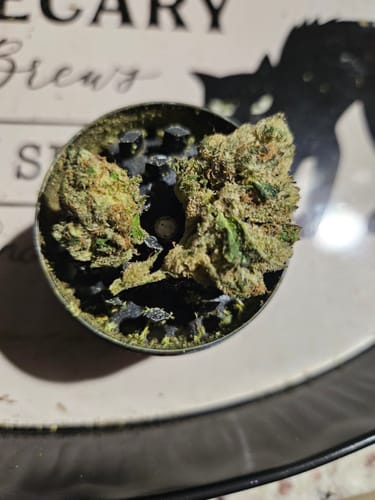 THCA Flower - Tropicana Cookies photo review