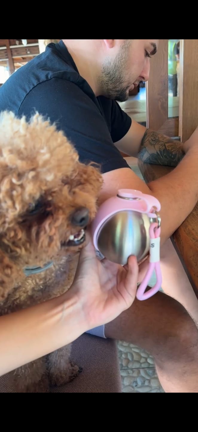 Customer photo review of PETIVYO HydroPaw™ | Paslanmaz Çelik Taşınabilir Köpek Su Matarası