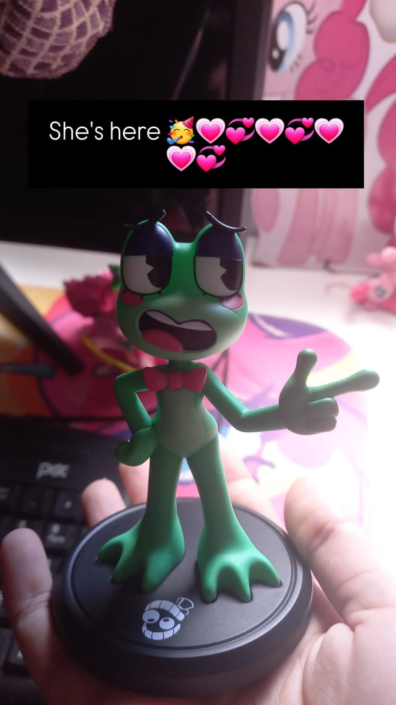 Customer photo review of Ribbit Animatez