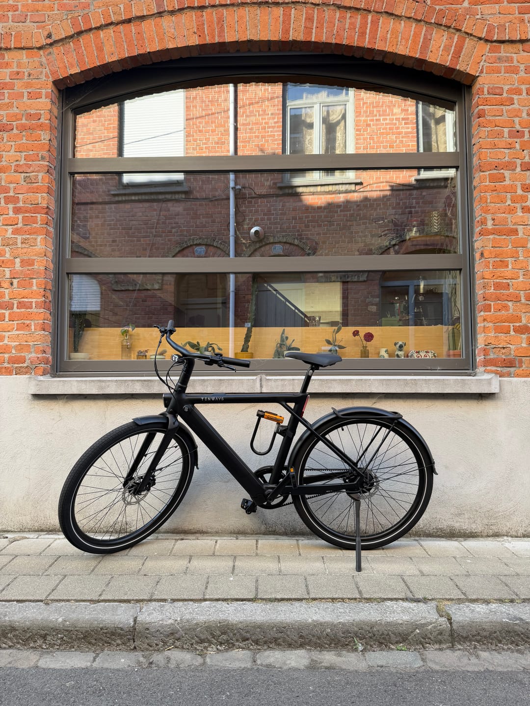 Customer photo review of TENWAYS CGO009