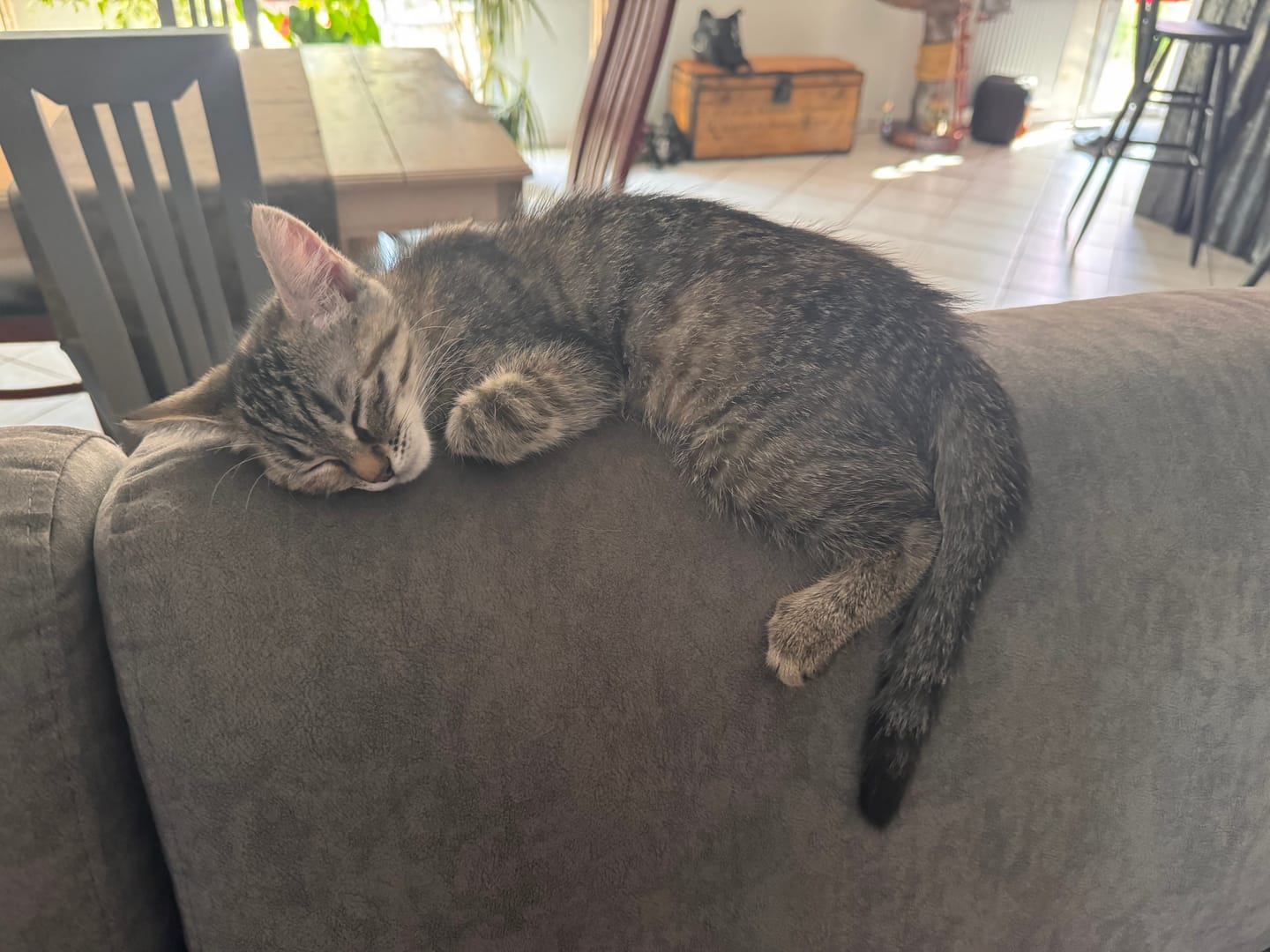 Customer photo review of Émincés au poulet (Chaton)