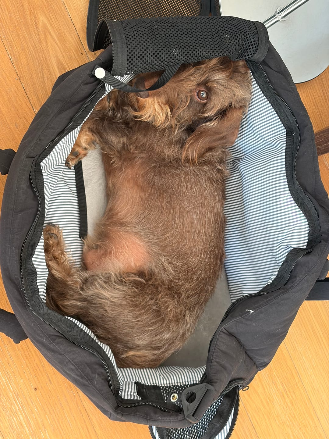Customer photo review of Sac de voyage - Noir