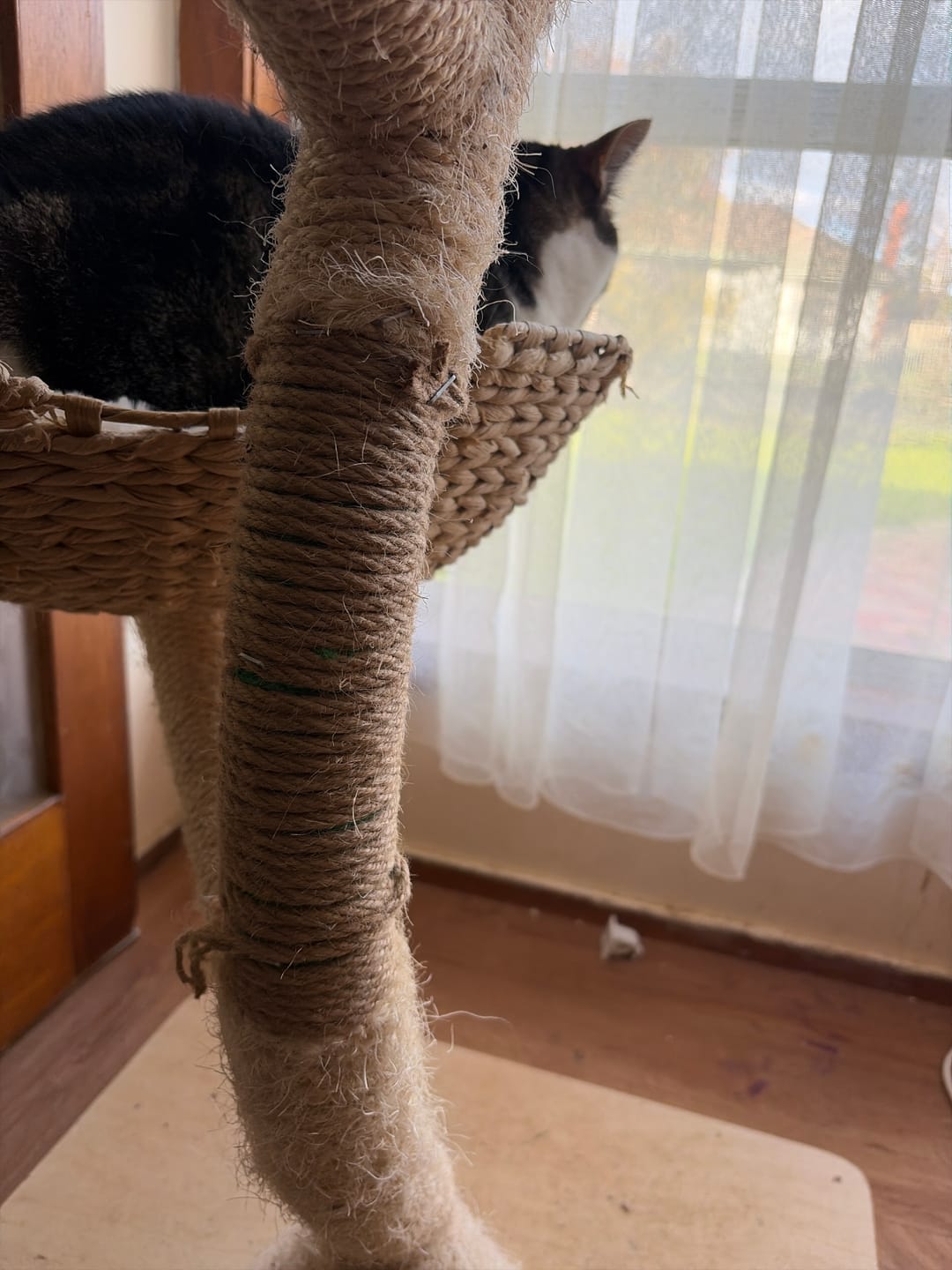 Customer photo review of MICHU Cat Tree Repair Rope – 30m