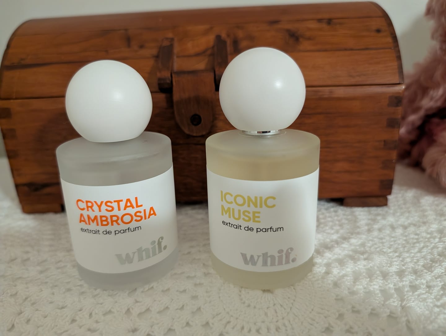 Customer photo review of Iconic Muse
