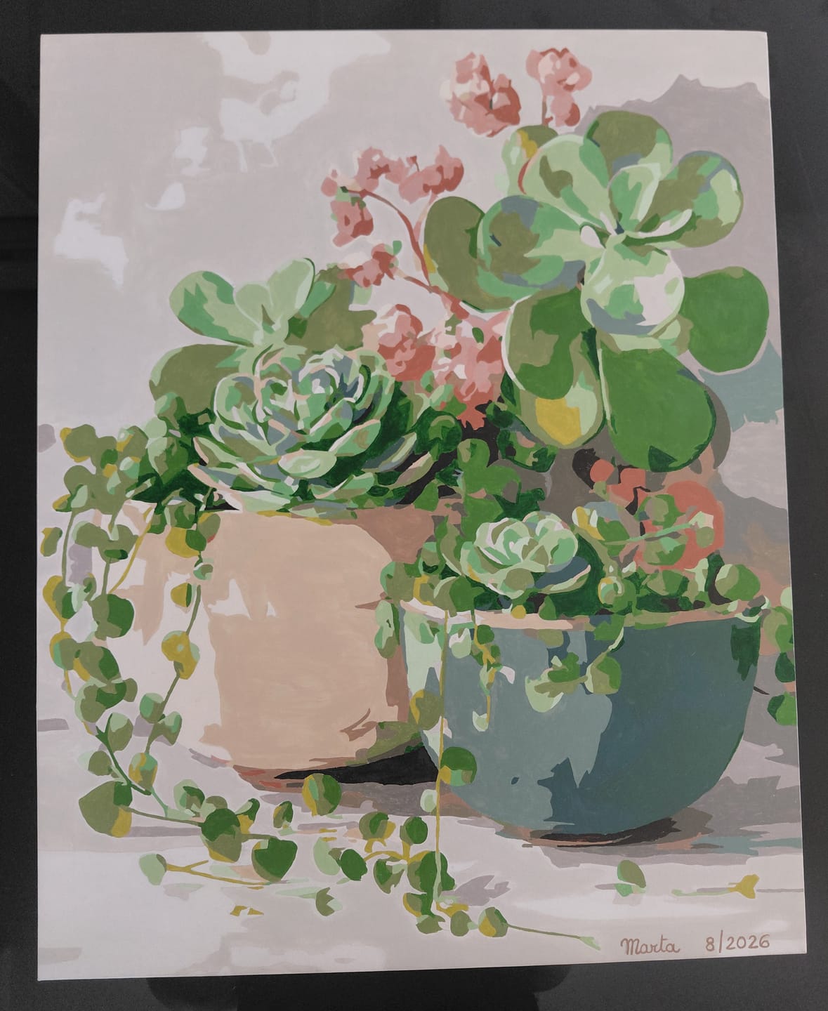 Customer photo review of Spring Succulents | Paint by Number