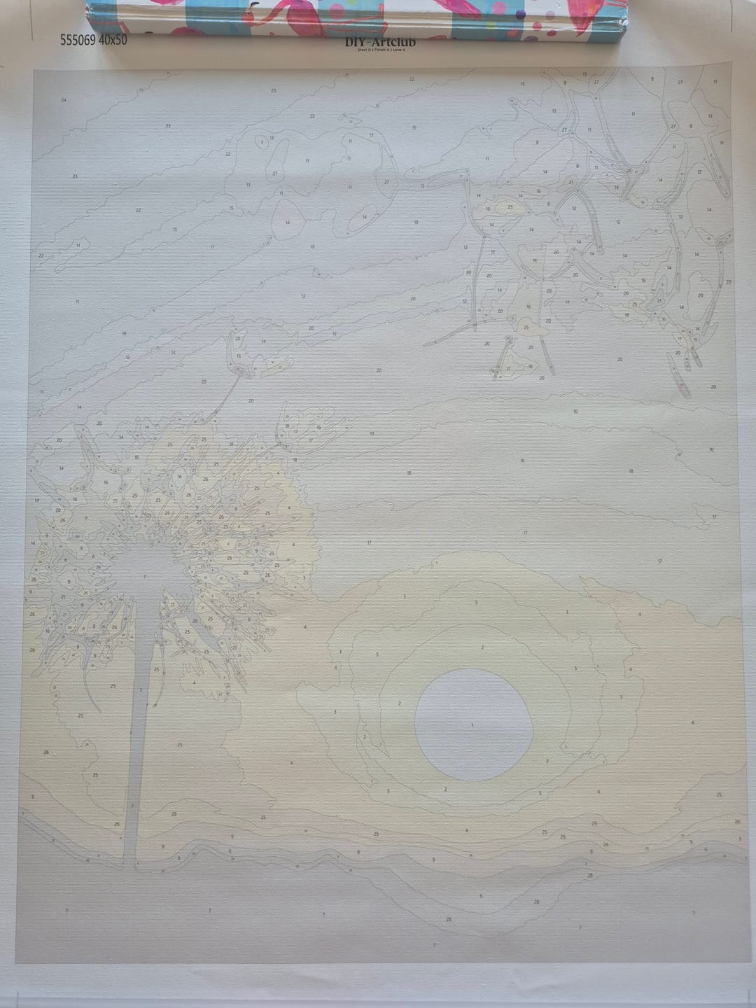 Customer photo review of Dandelion at Sunset | Paint by Numbers