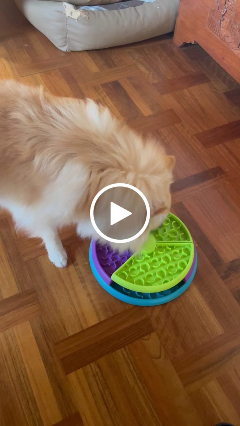 Customer video review of SnackLabyrinten i 3 Lag