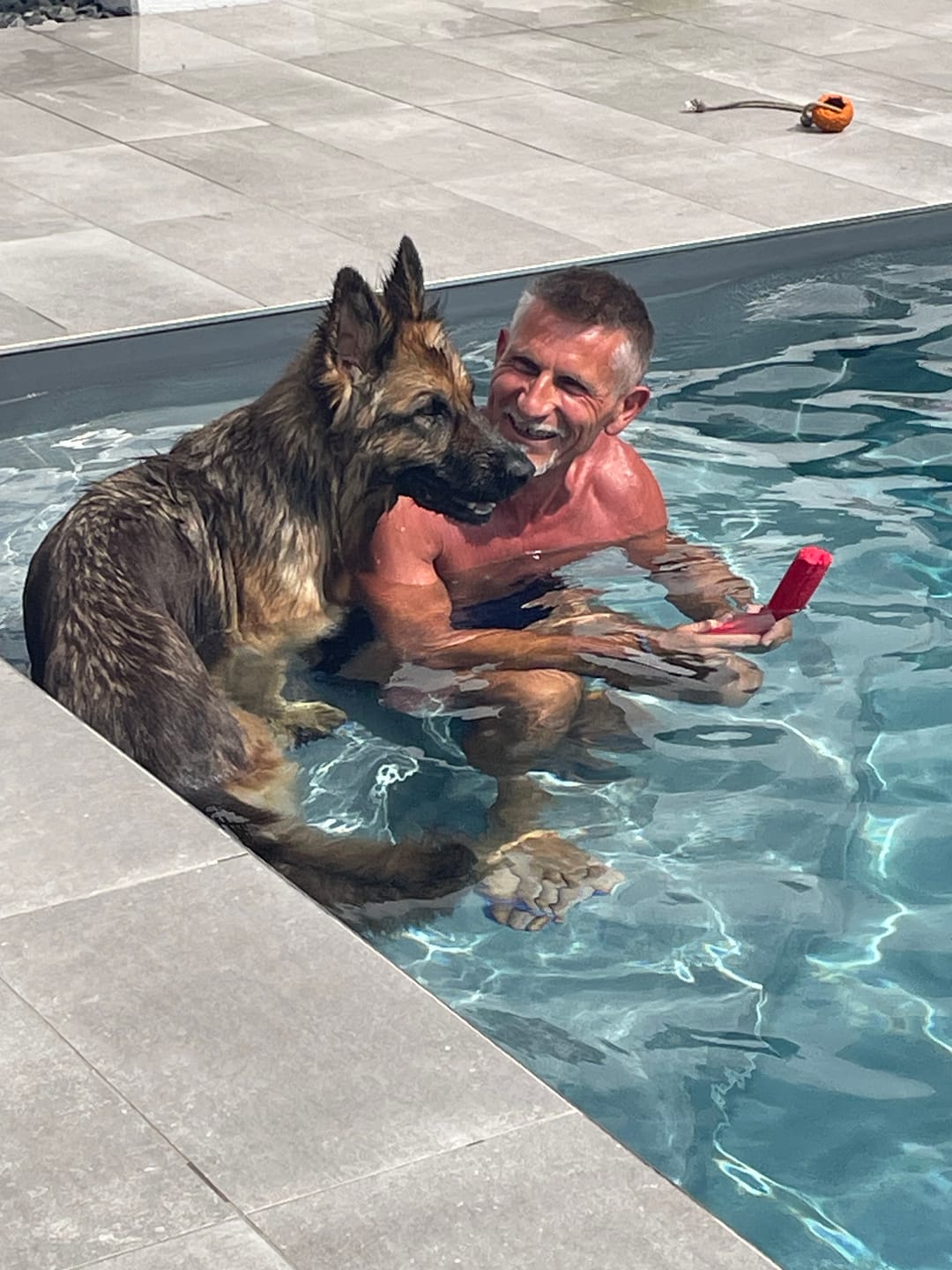 Customer photo review of THERZYME (500 gr) – Mangime per Salute Pancreatica Di Cani e Gatti
