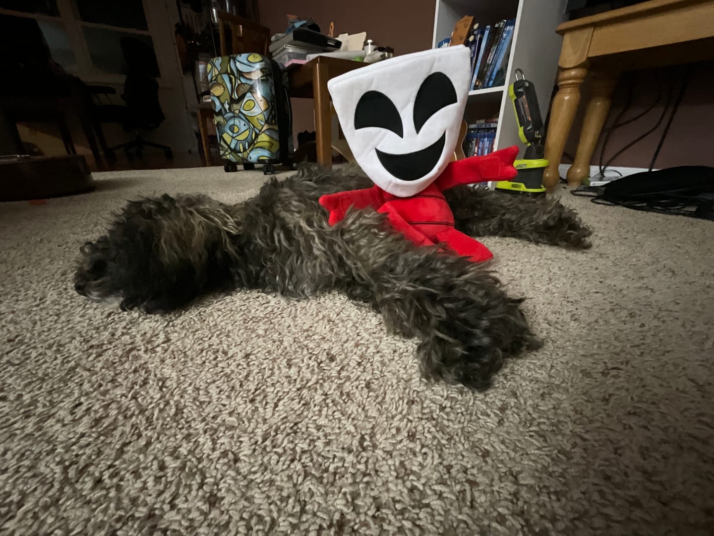 Customer photo review of Gangle Plush