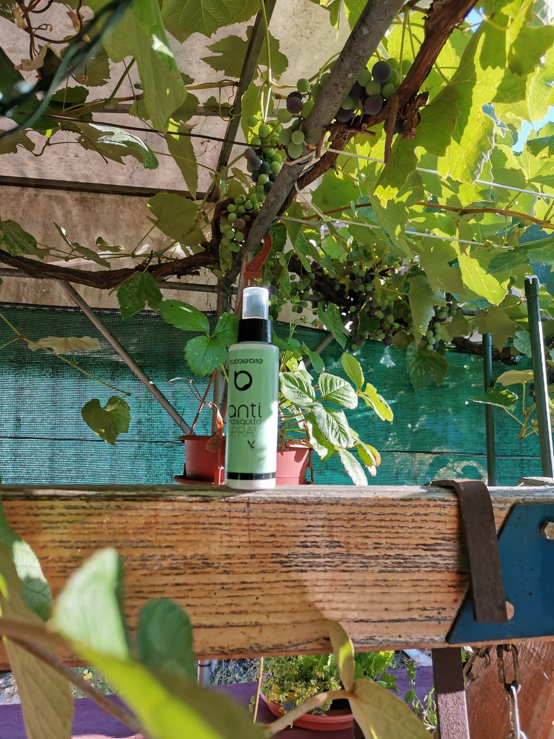 Customer photo review of Anti Mosquito Spray (2x100ml)