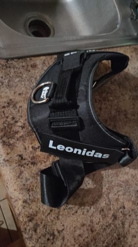 Customer's Dogshood Easy On black harness with a personalized Leonidas name patch resting on a stone countertop.