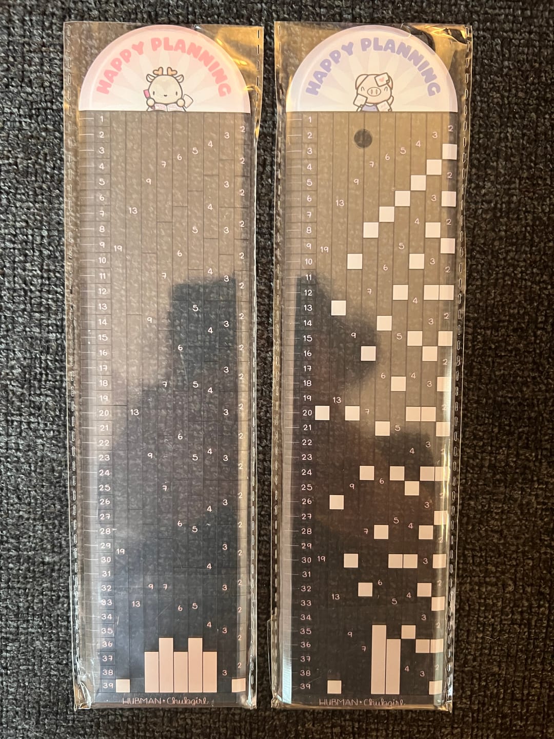 Customer photo review of Stationery Buddies Dot-Grid Rulers (Set of 2)