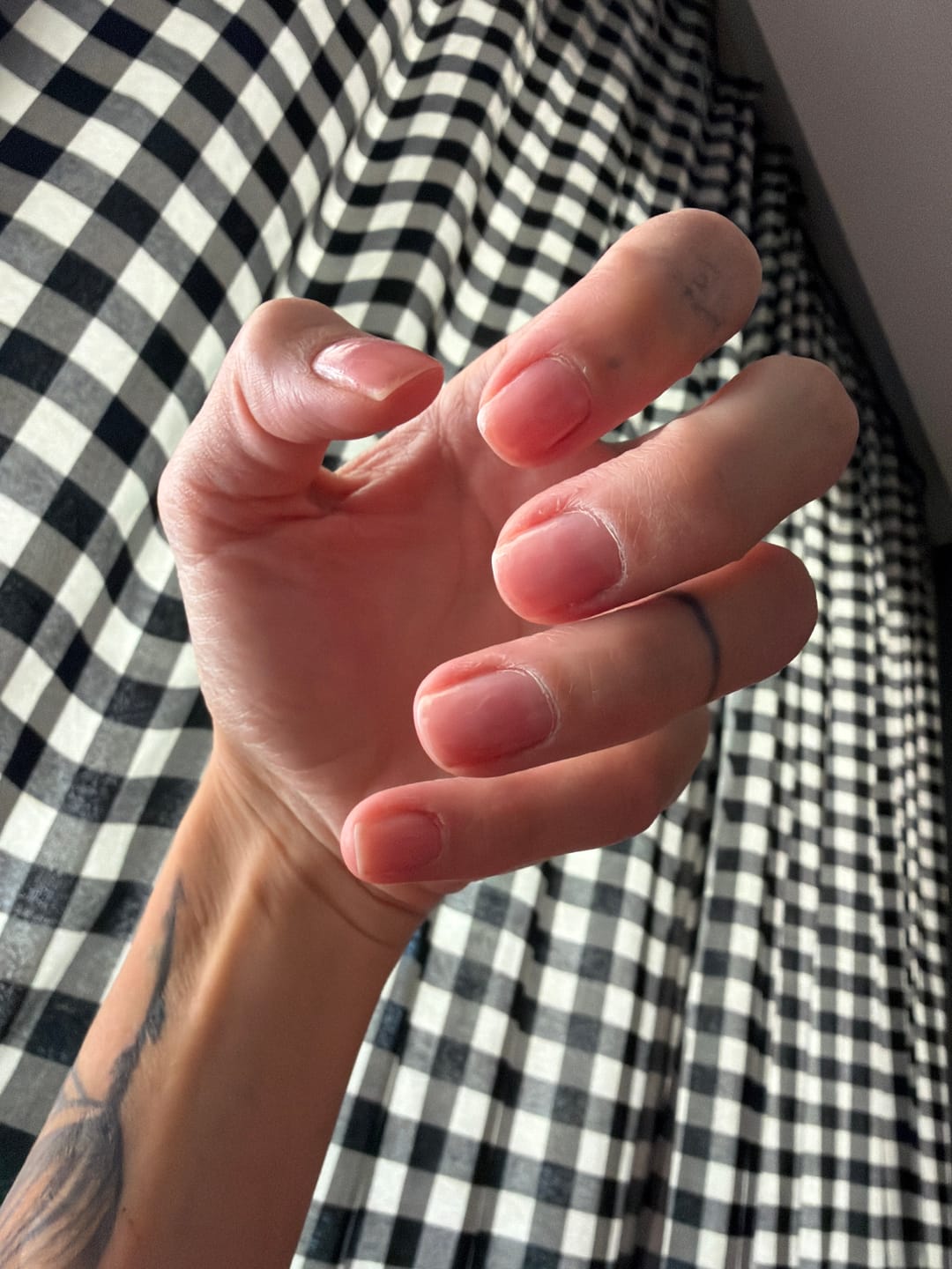 Customer photo review of [Çilek] Renkli Tırnak Güçlendirici