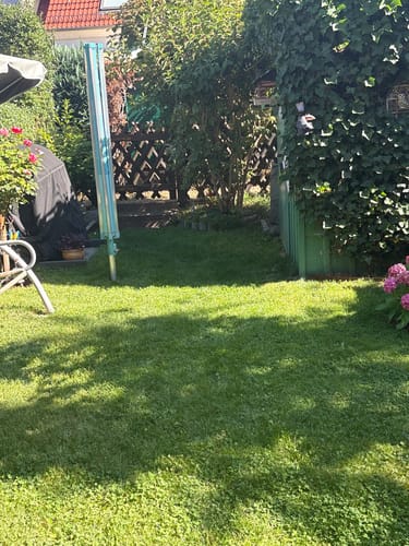 Customer's lush, green lawn after applying RASENBLITZ Sommerdünger, showing healthy grass growth in a garden.