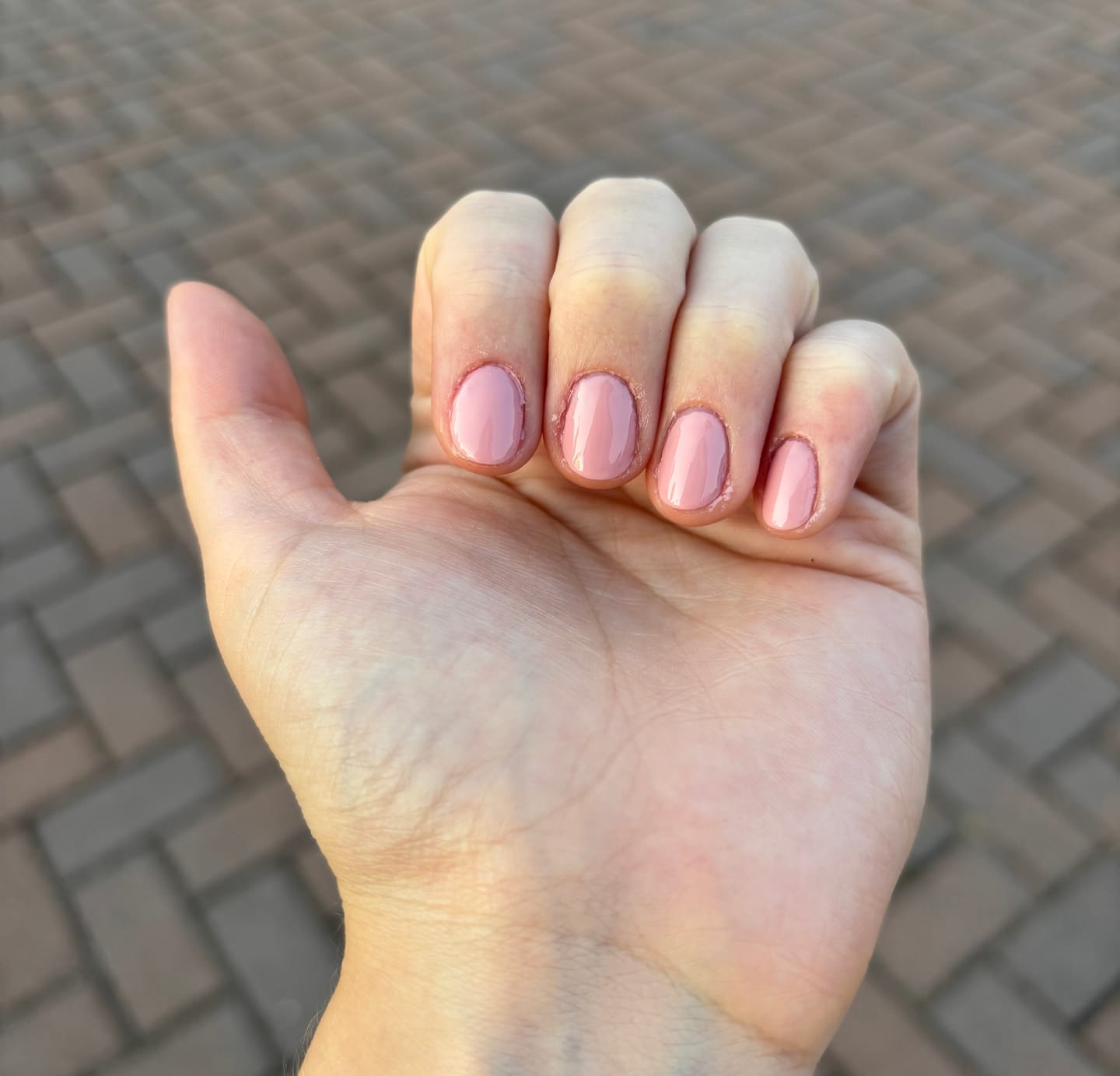 Customer photo review of Smalto Semipermanente LCI -  Hema Free - Havana