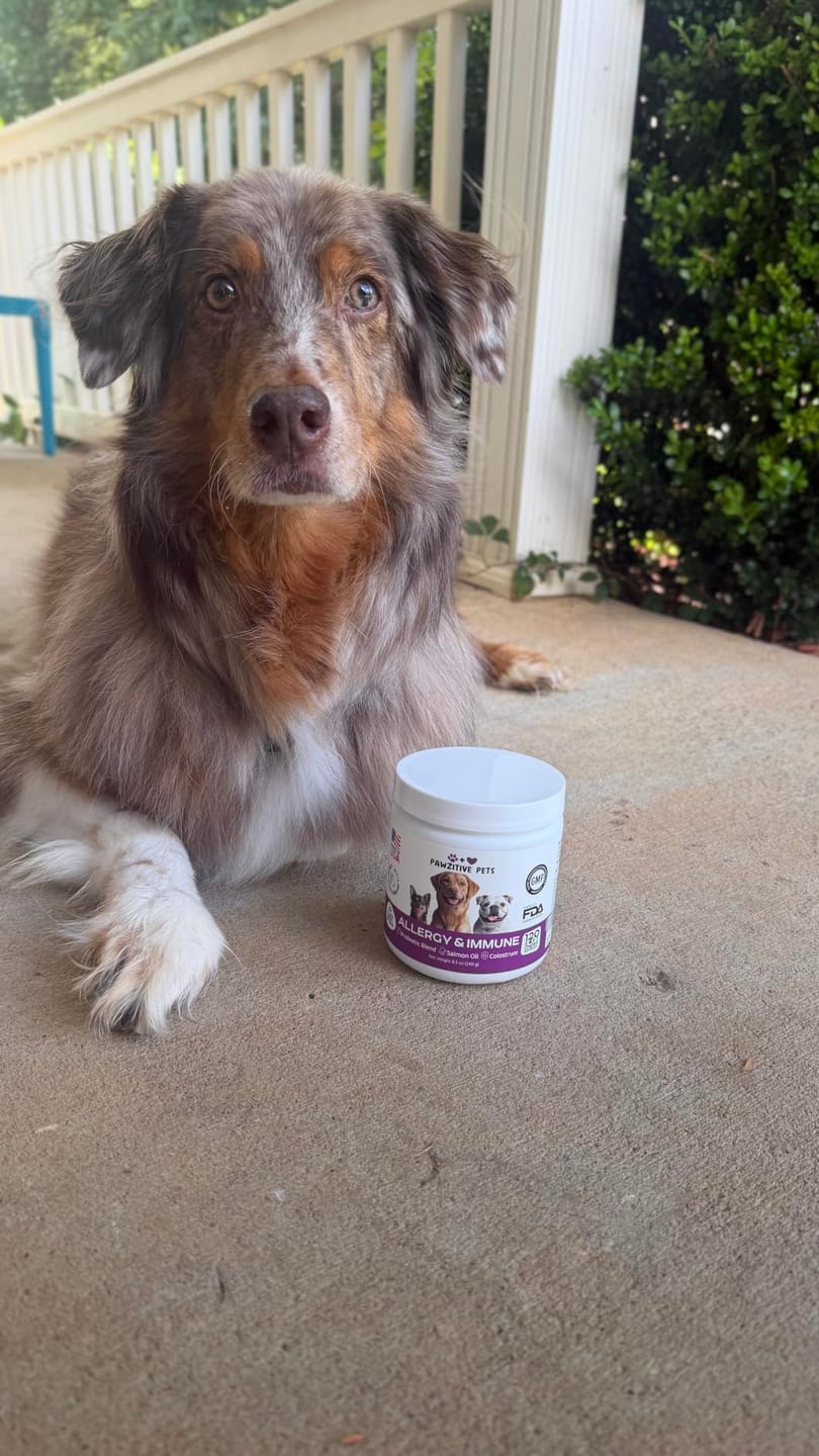 Customer photo review of Dog Allergy Chews for Itchy Skin, Paw Licking & Seasonal Allergies – Immune Support, 120 Soft Chews (Beef Flavor)