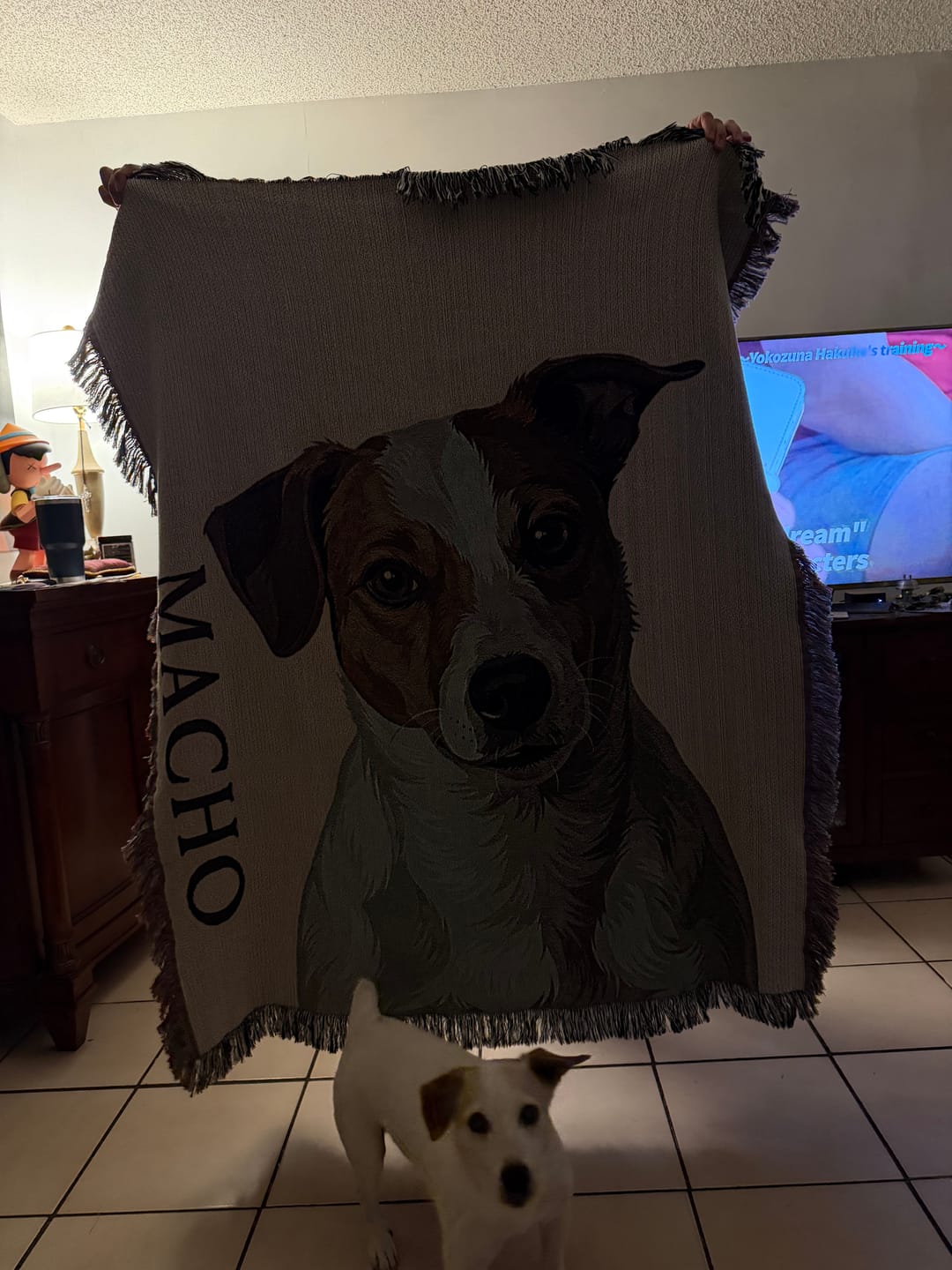 Customer photo review of Custom Heirloom Pet Throw Blanket