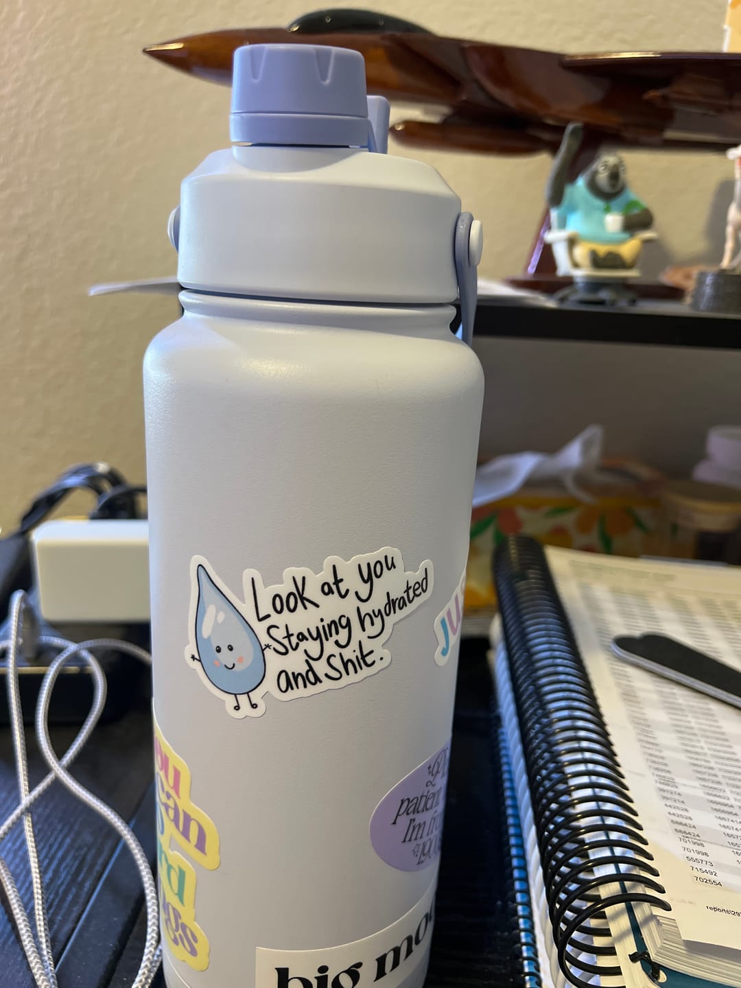 Customer photo review of "Look At You Staying Hydrated And Shit" Water Bottle Sticker